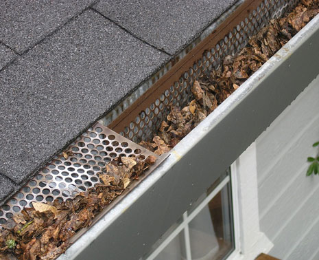 Professional Gutter Maintenance